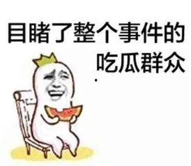 吃瓜群众五颗星是什么,揭秘娱乐圈幕后风云