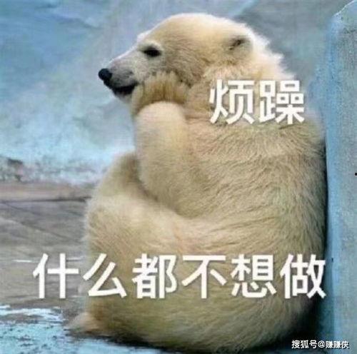 幽默的吃瓜群众图片大全,笑料横生！吃瓜群众幽默图片大盘点