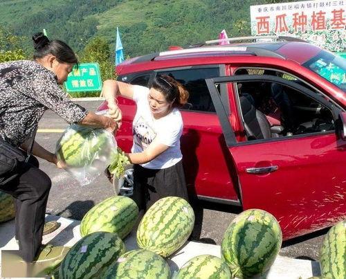 长垣服装吃瓜群众反应,吃瓜群众热议不断，揭秘服装行业新动态