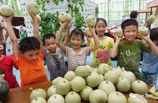 吃瓜群众水果季,吃瓜群众的甜蜜盛宴