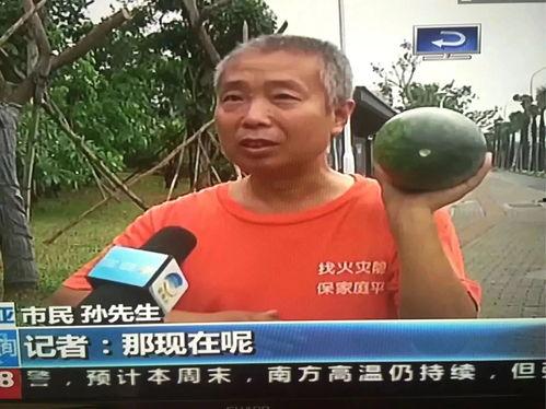 宜兴吃瓜群众事件最新情况,真相大白，网络舆论场再掀波澜