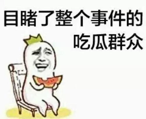 b站的吃瓜群众头像挂件