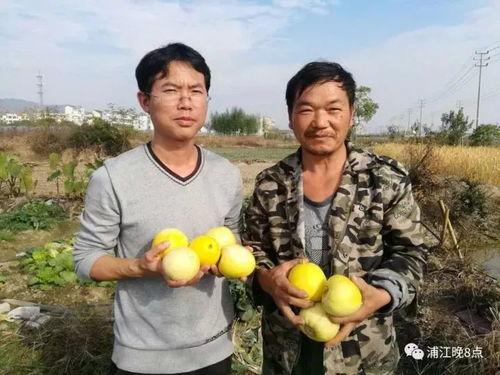 吃瓜群众大鹏,吃瓜群众的娱乐盛宴