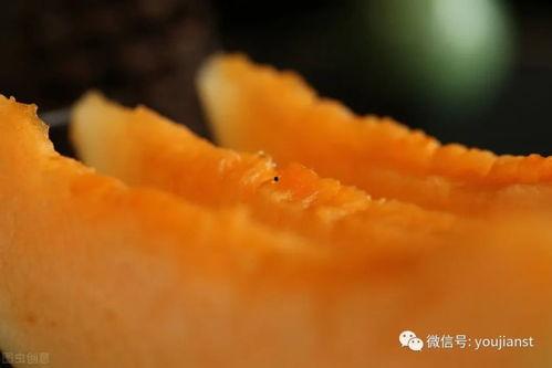 做个认真的吃瓜群众图片,一场视觉盛宴背后的故事